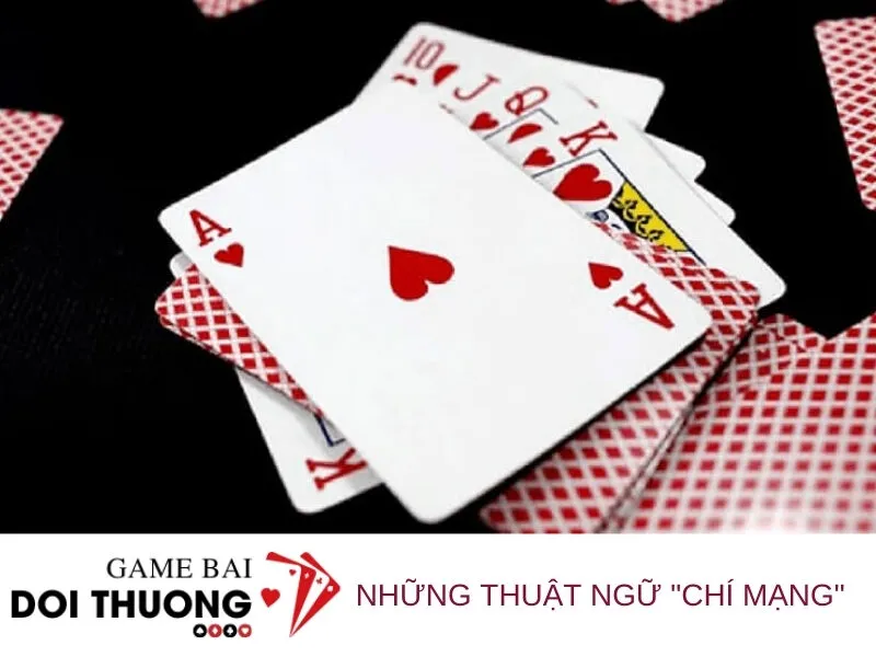 Những Thuật Ngữ Chí Mạng